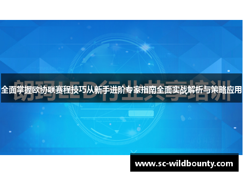 全面掌握欧协联赛程技巧从新手进阶专家指南全面实战解析与策略应用