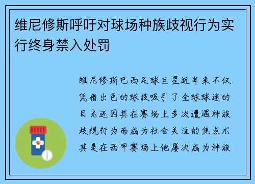 维尼修斯呼吁对球场种族歧视行为实行终身禁入处罚