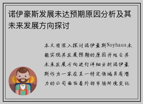 诺伊豪斯发展未达预期原因分析及其未来发展方向探讨