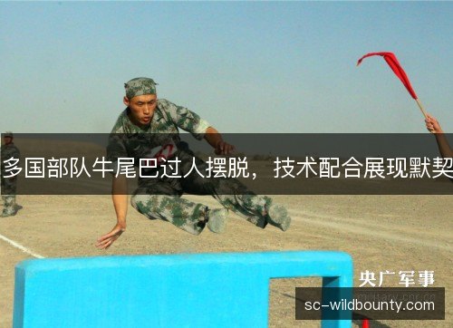 多国部队牛尾巴过人摆脱，技术配合展现默契