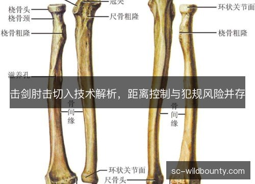 击剑肘击切入技术解析，距离控制与犯规风险并存